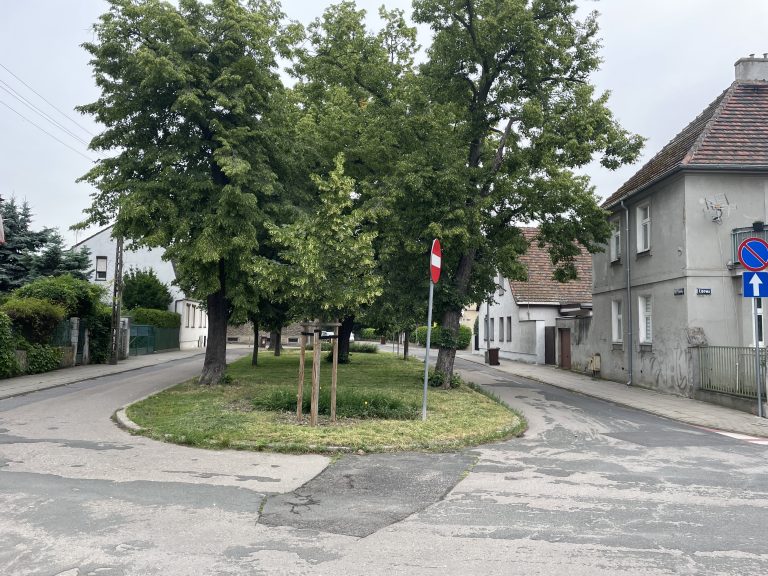 Plac lipowy w poznaniu widok na cały plac i drzewa